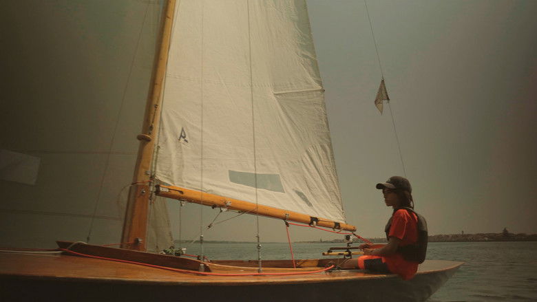 кадр из фильма Os Vougas da Ria de Aveiro