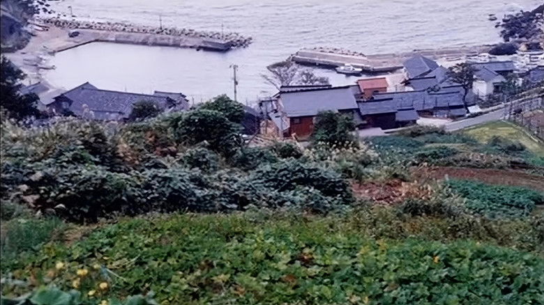 кадр из фильма 生まれた場所