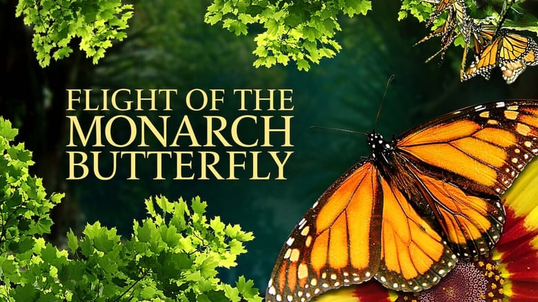 кадр из фильма Flight of the Monarch Butterfly