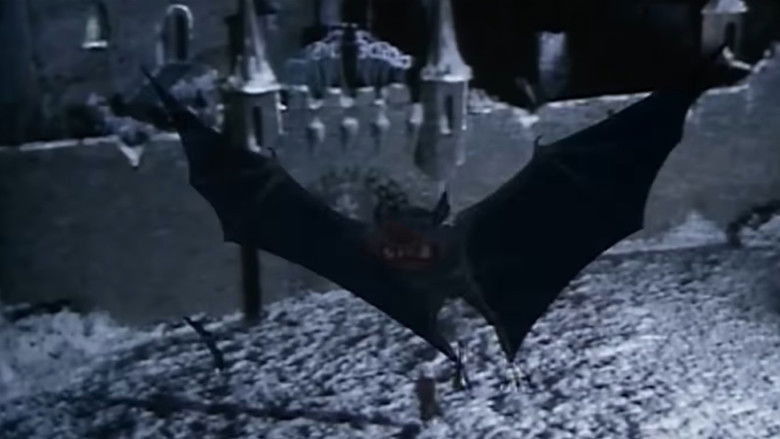 кадр из фильма The Chronicles of Narnia: The Lion, the Witch & the Wardrobe