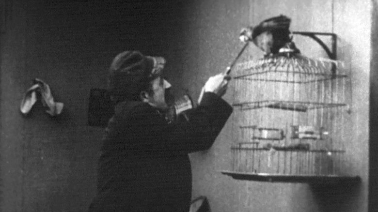 кадр из фильма A Bird's a Bird