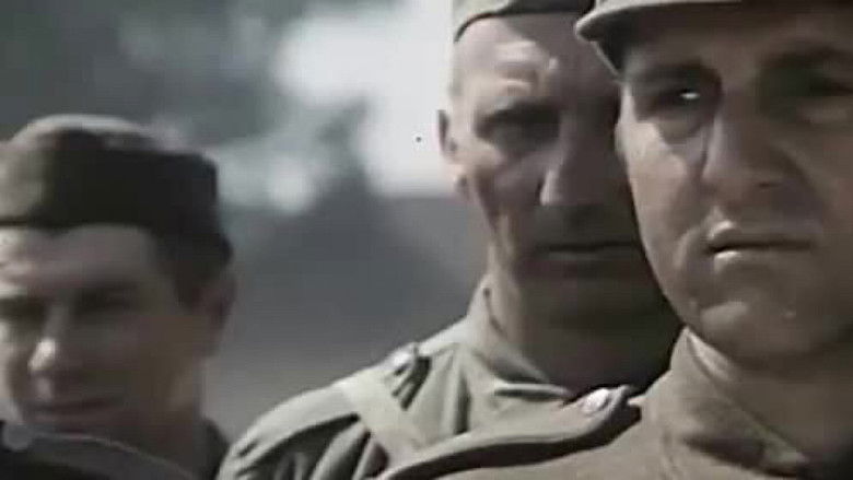 кадр из фильма Olimpiada 40