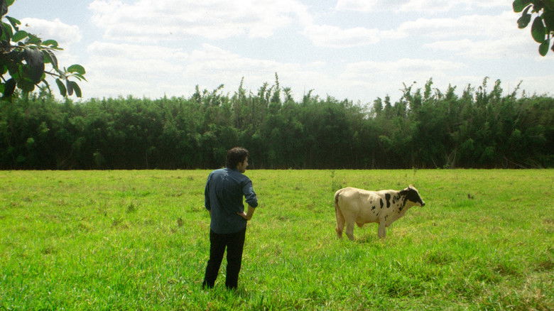 кадр из фильма Império Volição