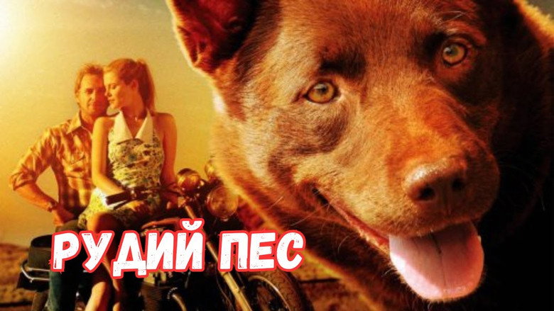 кадр из фильма Рыжий пёс
