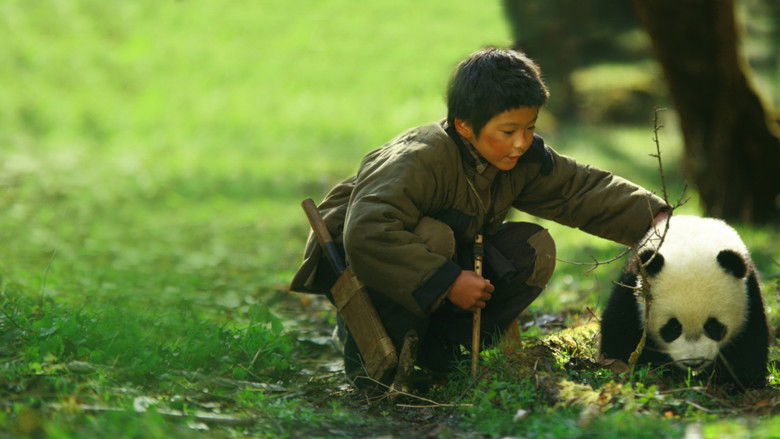 кадр из фильма 熊猫回家路