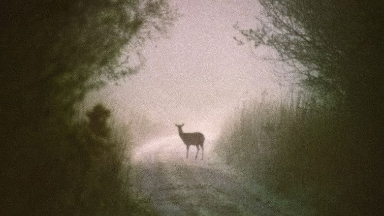 кадр из фильма Oisín