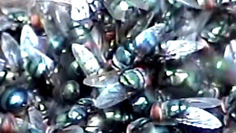 кадр из фильма Ataraxia