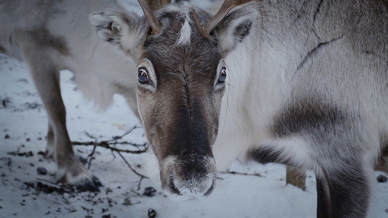 кадр из фильма Same mot same