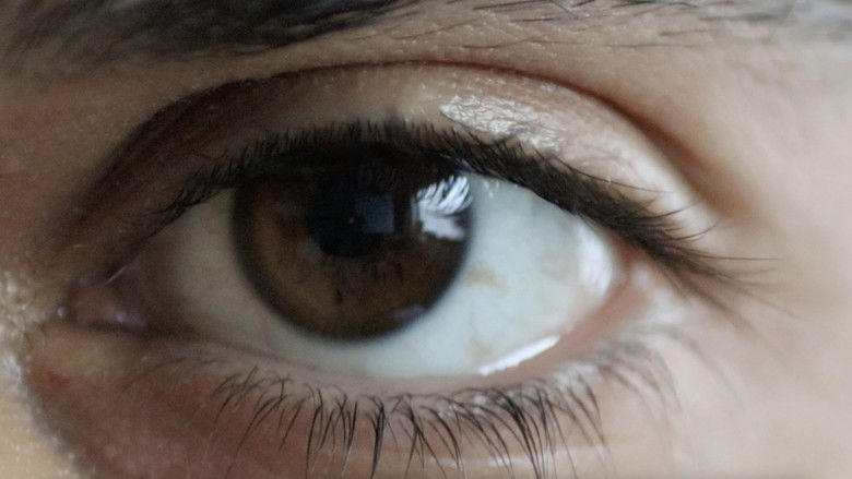 кадр из фильма In the tank