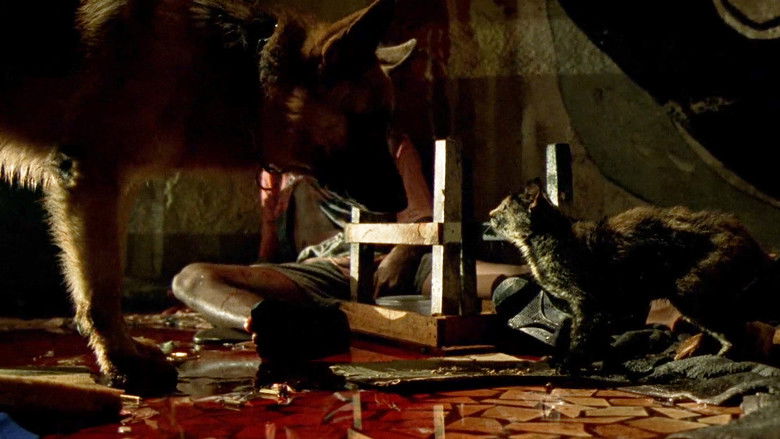 кадр из фильма Карандиру