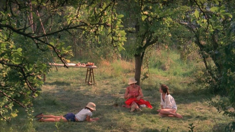 кадр из фильма Celles qui restent