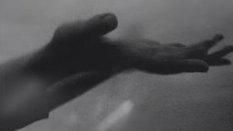 кадр из фильма Odin's Shield Maiden