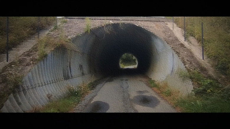 кадр из фильма Wandering: The Art of Noticing