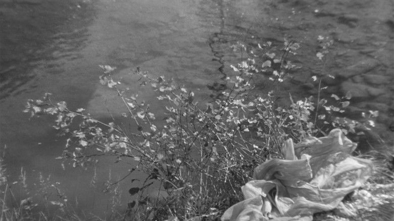 кадр из фильма Мушетт