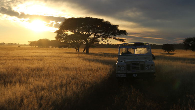 кадр из фильма The Serengeti Rules