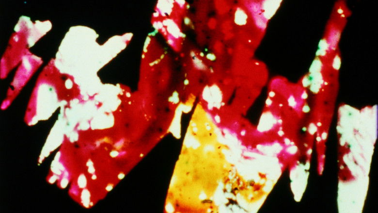 кадр из фильма Divinations