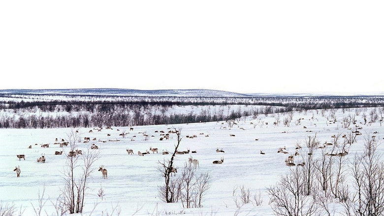 кадр из фильма Into the Land of Ice and Fire