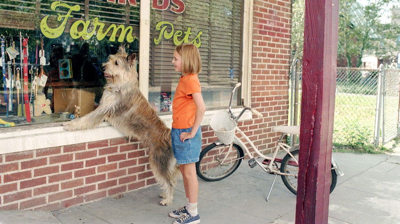 кадр из фильма Благодаря Винн Дикси