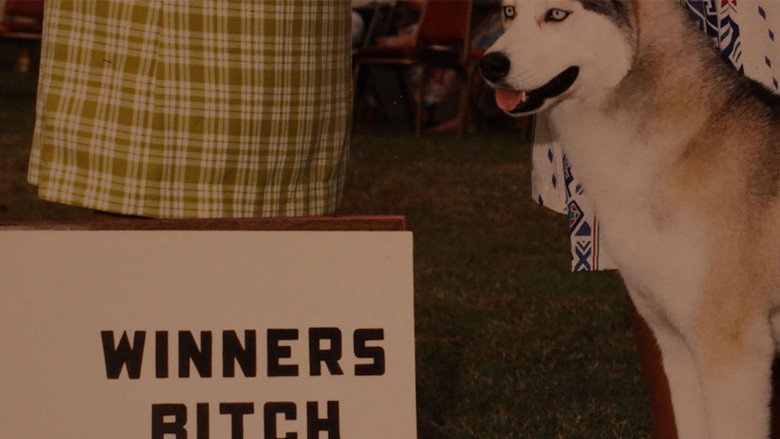 кадр из фильма Winners Bitch