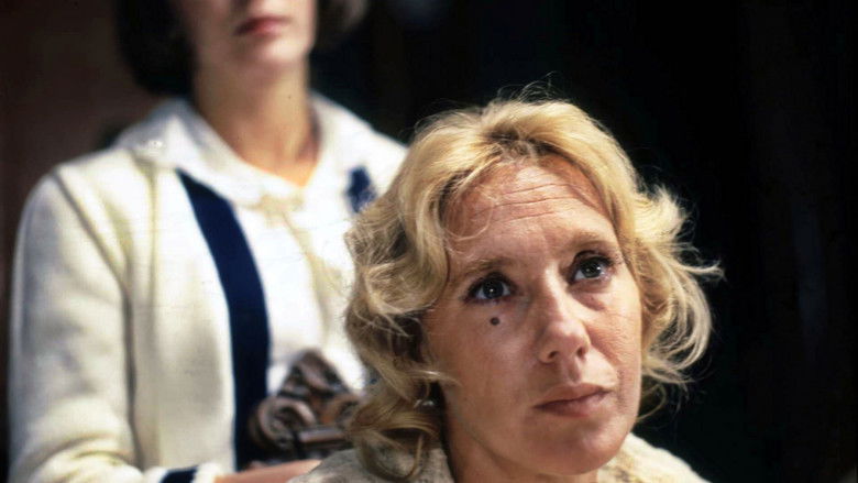 кадр из фильма Барышни из Вилько