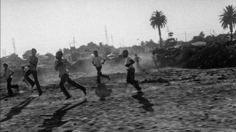 кадр из фильма Забойщик овец