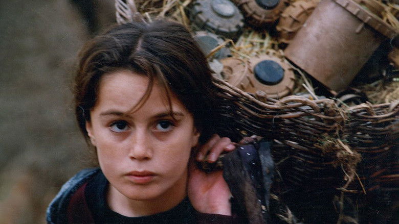 кадр из фильма И черепахи умеют летать