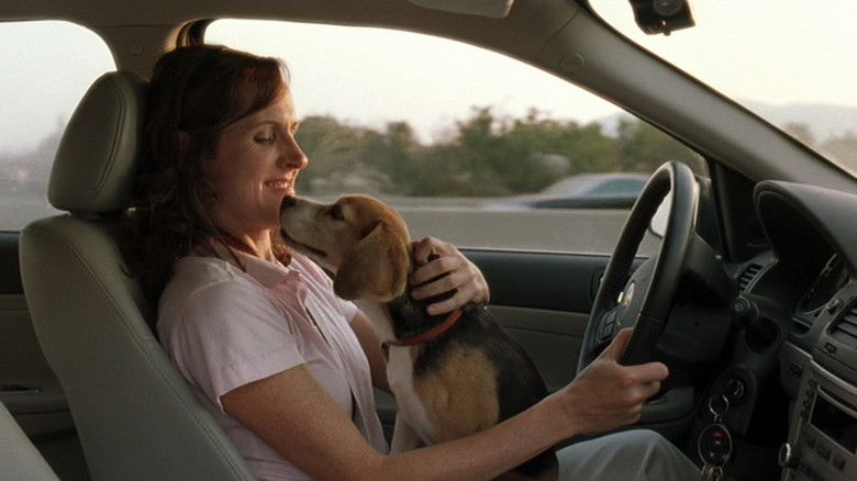 кадр из фильма Год собаки