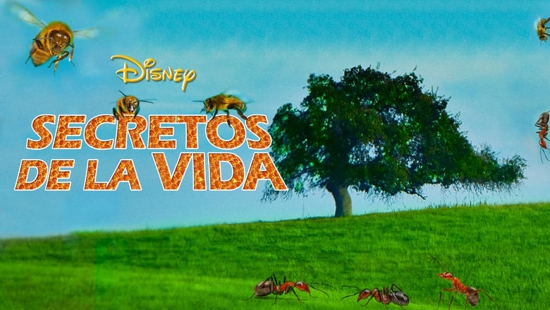 кадр из фильма Secrets of Life