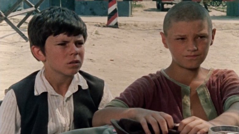 кадр из фильма Салаш у Малом Риту