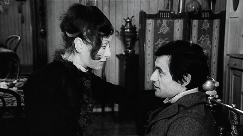 кадр из фильма Kamizelka