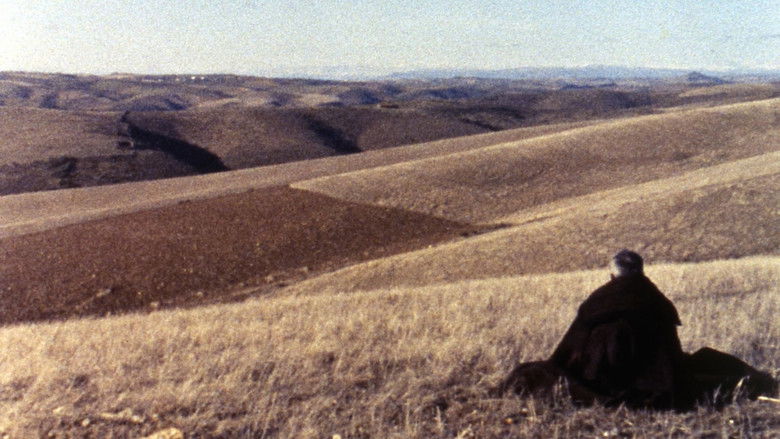 кадр из фильма Траз-уж-Монтиш