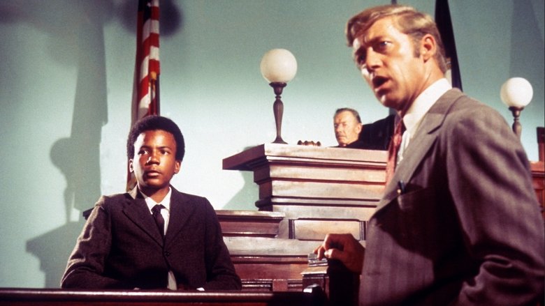 кадр из фильма The Learning Tree