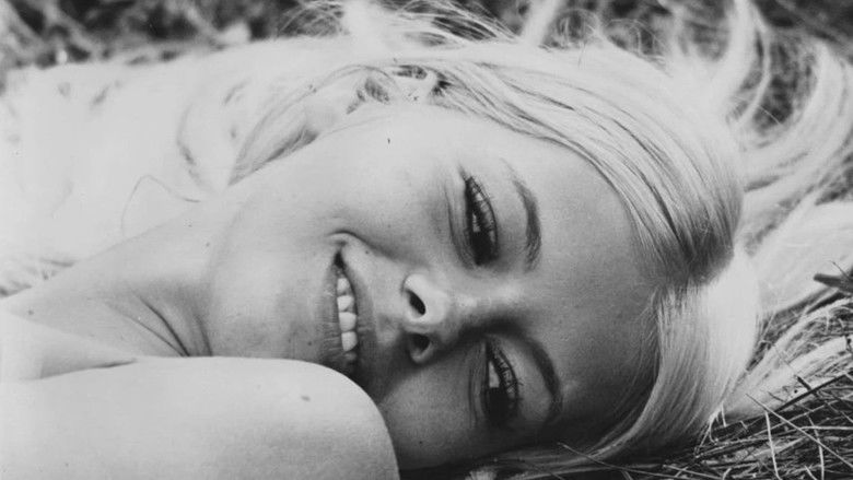 кадр из фильма The Hitchhikers