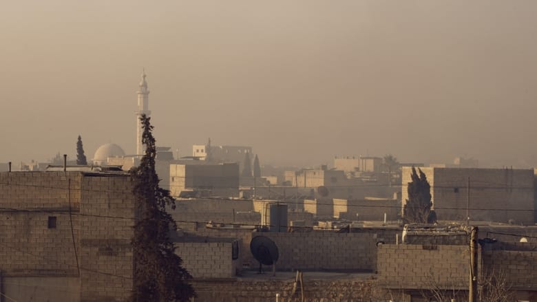 кадр из фильма Kedi Adam