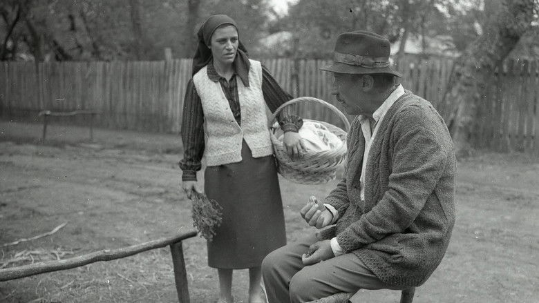 кадр из фильма Moromeții