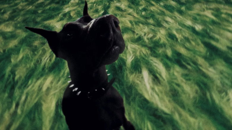 кадр из фильма Fashion Designa