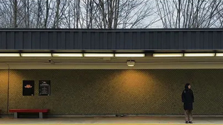 кадр из фильма Rootless