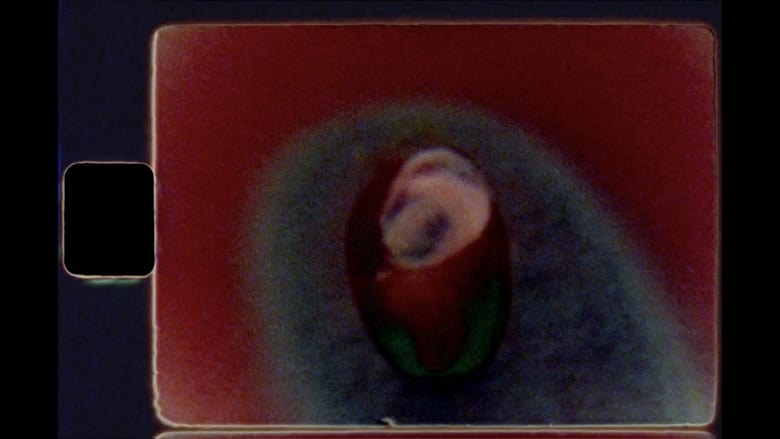кадр из фильма Seeds