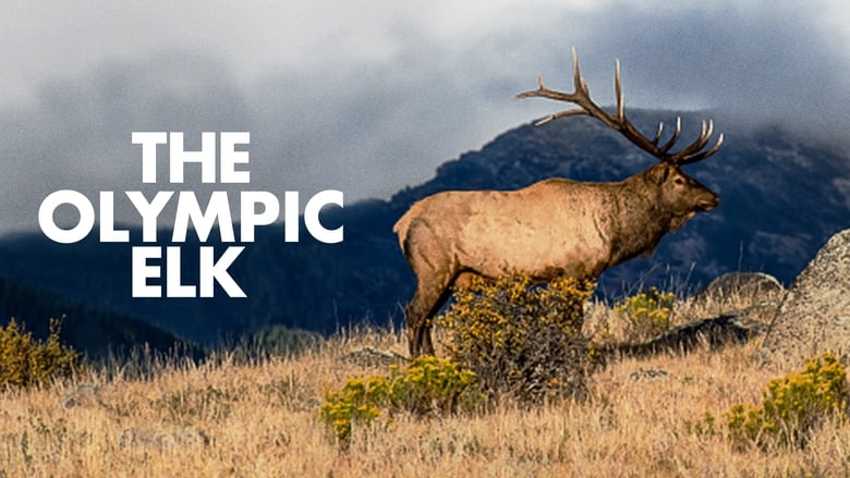 кадр из фильма The Olympic Elk