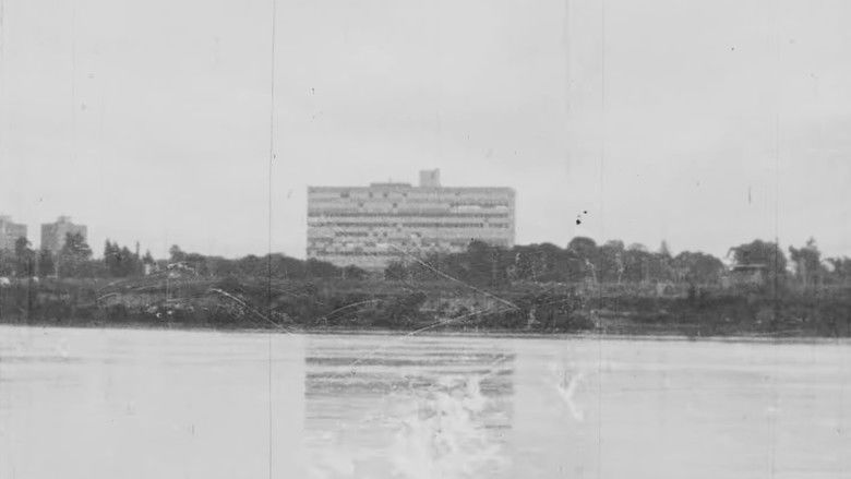 кадр из фильма Puerto Piojo