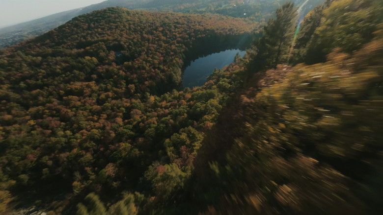 кадр из фильма Corridors: Les voies de la Nature