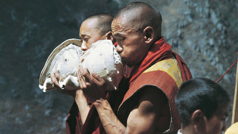 кадр из фильма Les Danses de Tami