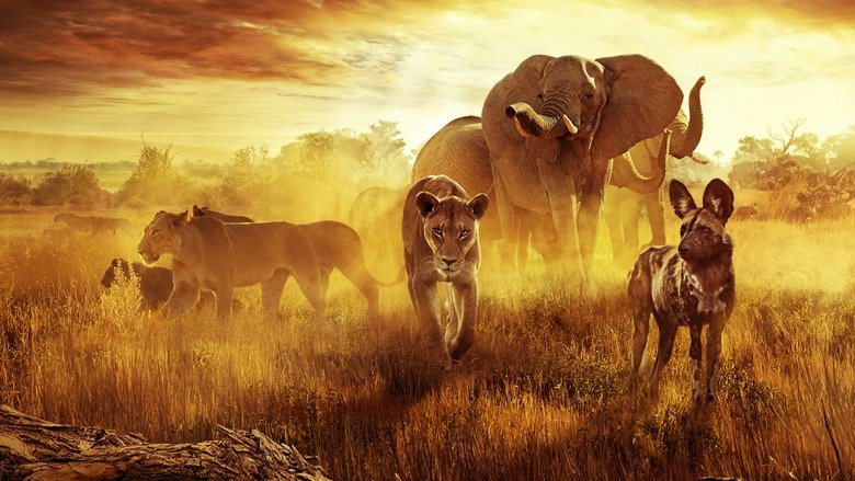 кадр из фильма Выживание в раю: история одной семьи