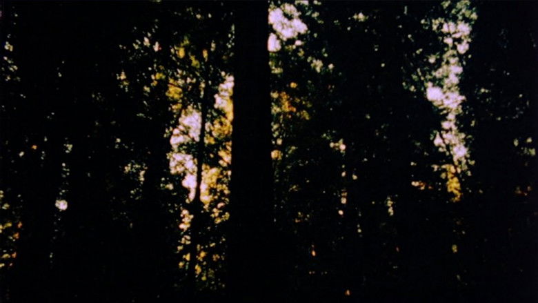 кадр из фильма Mancoon