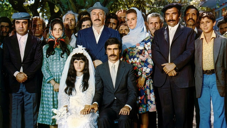 кадр из фильма Düğün