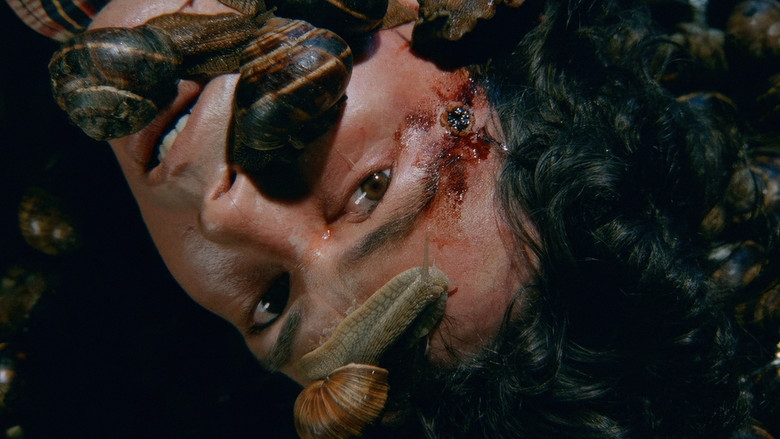 кадр из фильма Un escargot dans la tête