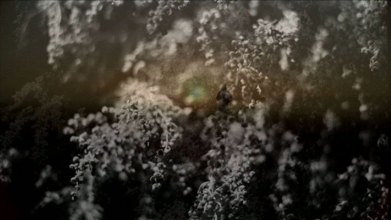 кадр из фильма leaving me