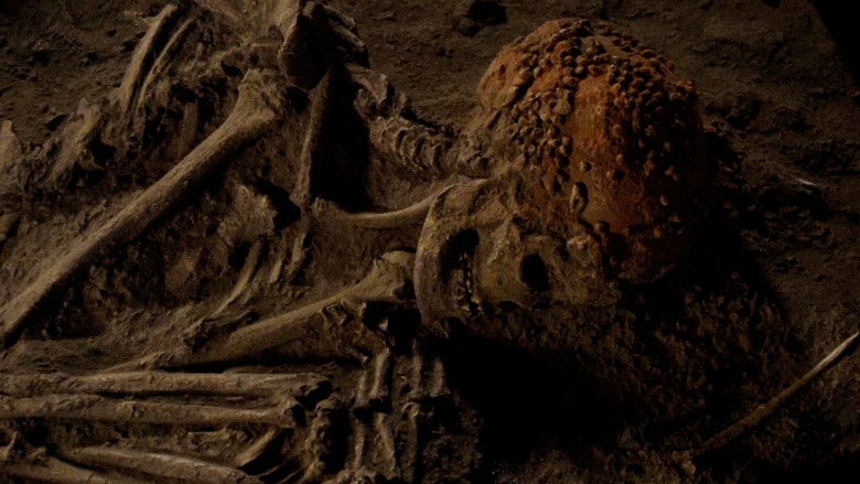 кадр из фильма Dames et Princes de la Préhistoire