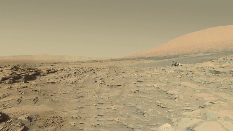 The Voyage of Curiosity