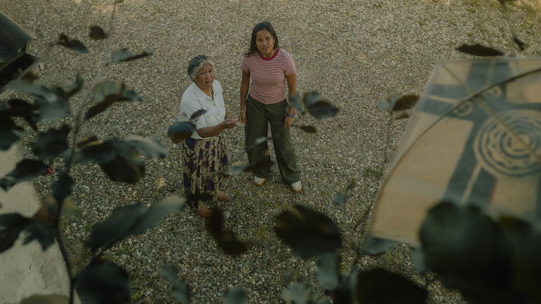 кадр из фильма Pulang